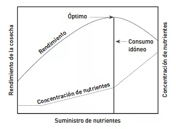 El fósforo (P): una historia complicada (1ª parte)