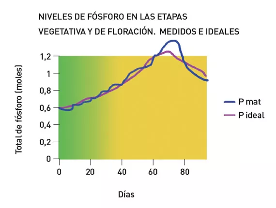 El fósforo (P): una historia complicada (2ª parte)