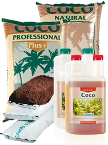 CANNA COCO