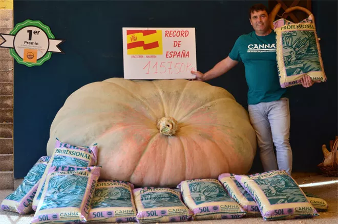 El “rey” de la calabaza gigante