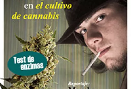 CANNAhabla Nº 1